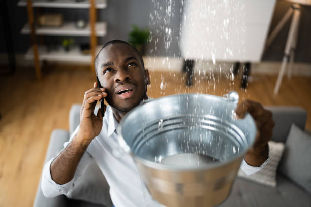 Best Basement water damage restoration  in Utica, NE