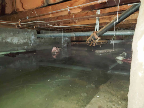 Utica, NE Water damage restoration Company
