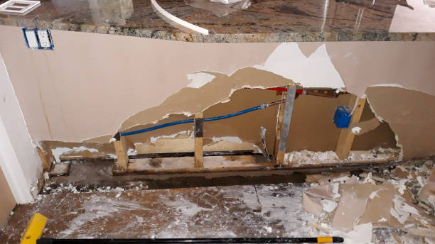 Best Water damage cleanup near me  in Utica, NE