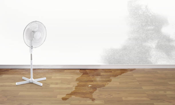 Best Commercial water damage restoration  in Utica, NE