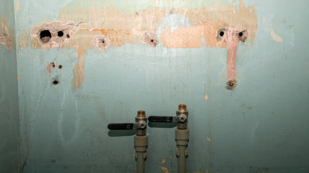 Best Flooded house restoration  in Utica, NE