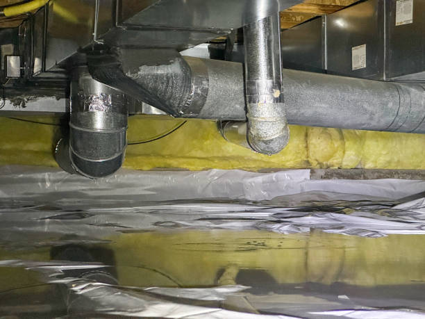 Best Water damage contractors near me  in Utica, NE